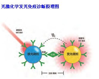 afp证书_afp收入(2)