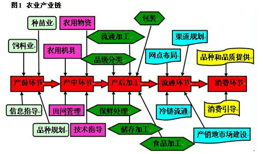 农业产业链是指与农业初级产品生产关联密切的产业群所形成的网络结果